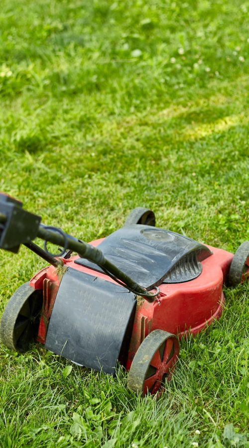 unrecognizable Woman mows the lawn with a lawn mower grass at home garden, gardener woman working