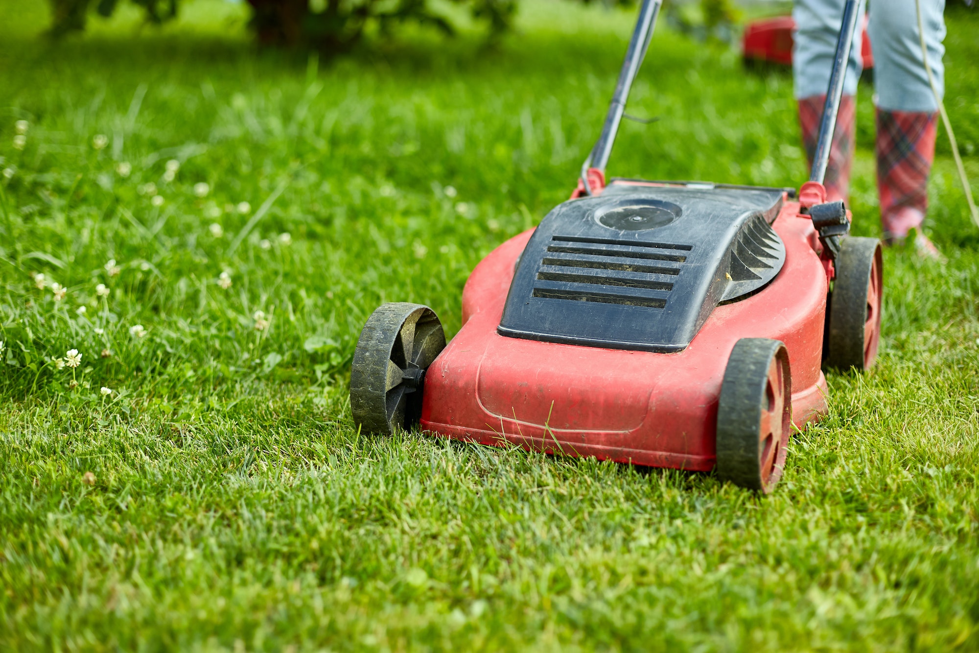 unrecognizable Woman mows the lawn with a lawn mower grass at home garden, gardener woman working