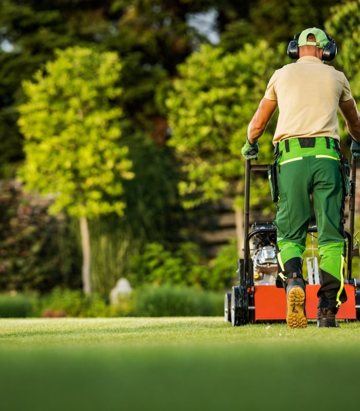 Landscaper Pushing Scarifier Machine Taking Care of the Lawn