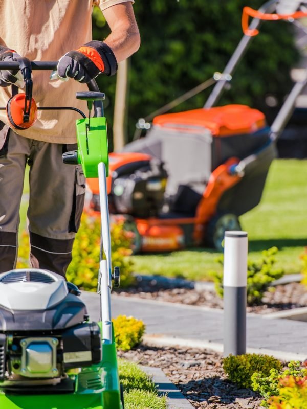 Professional Landscape Gardening Services